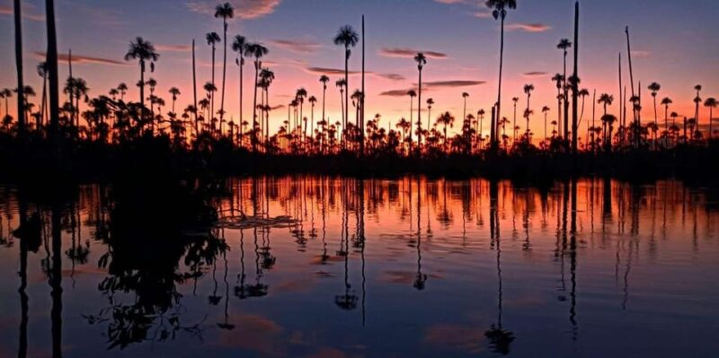 CANDAMO MAMMALS EXCURSION 5D/4N PRIVATE - Daily Itinerary