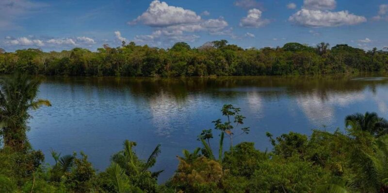 CANDAMO MAMMALS EXCURSION 5D/4N PRIVATE - Wildlife Encounters
