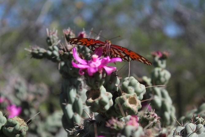 Candelaria Village Desert & Beach ATV Tour - Cancellation Policy
