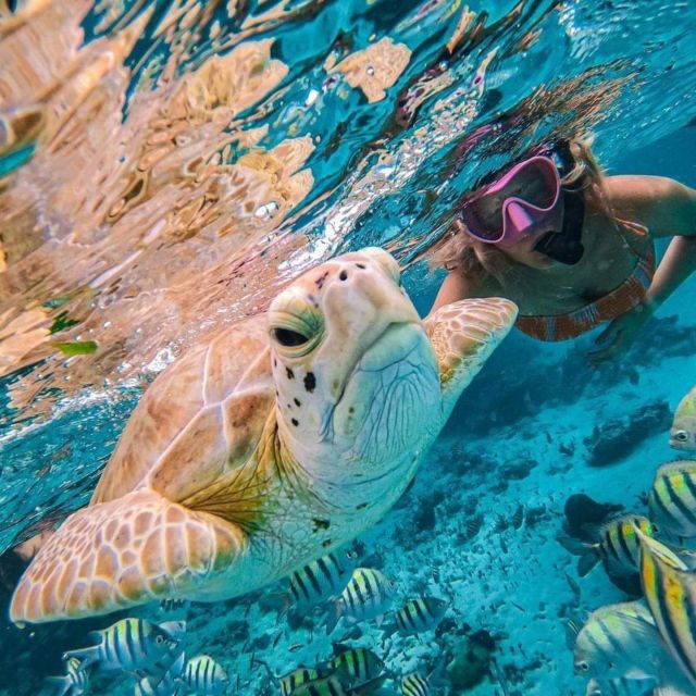 Candidasa : Best of Snorkling Blue Lagoon & Tanjung Jepun - Inclusions and Exclusions