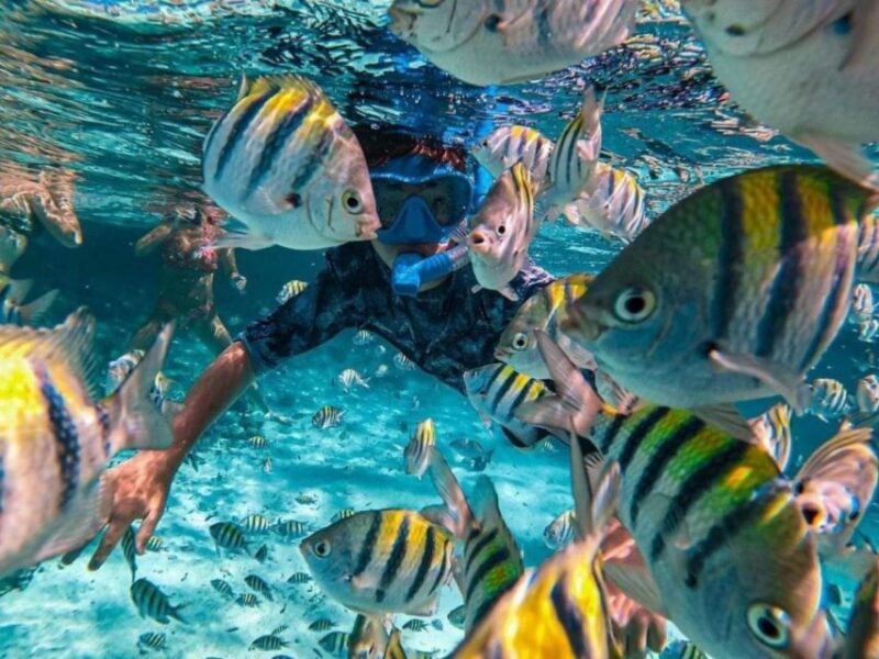 Candidasa : Best of Snorkling Blue Lagoon & Tanjung Jepun - Pickup Options