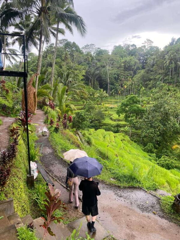 Canggu: Rice Terrace, Monkey Forest, Temple, & Waterfall - Key Points
