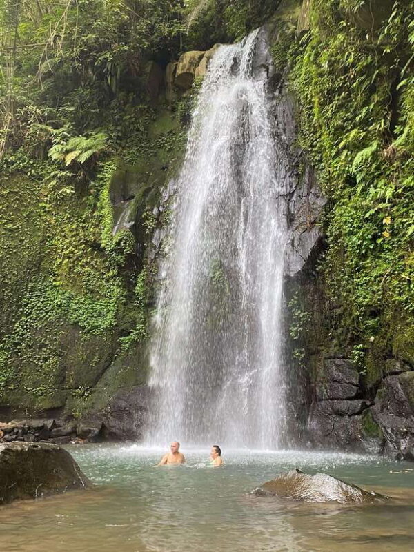 Canggu: Rice Terrace, Monkey Forest, Temple, & Waterfall - Itinerary Highlights