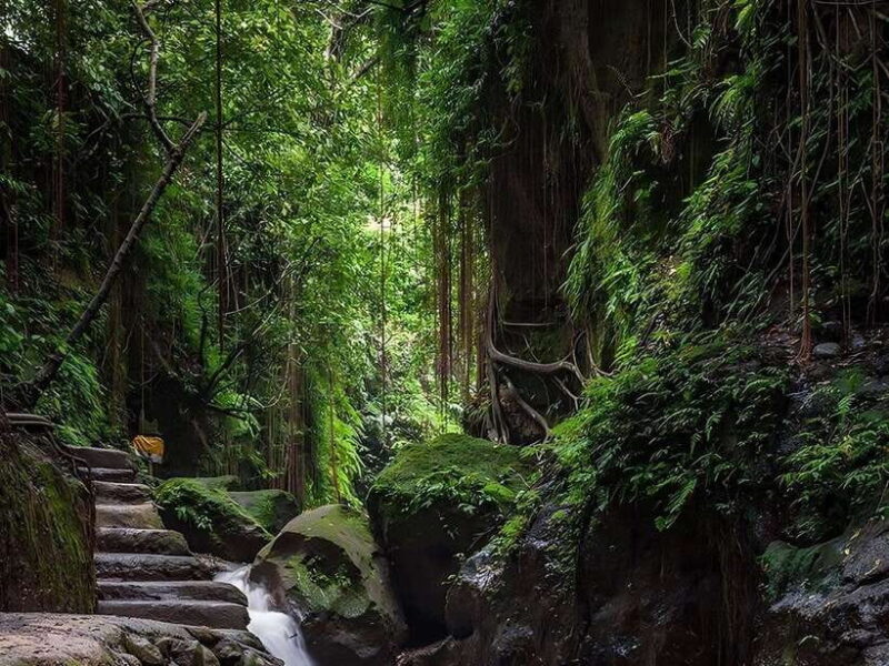 Canggu: Rice Terrace, Monkey Forest, Temple, & Waterfall - Pickup Locations