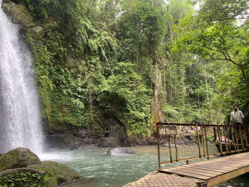 Canggu: Rice Terrace, Monkey Forest, Temple, & Waterfall - Inclusions