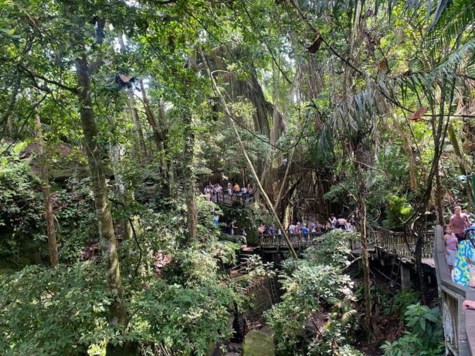 Canggu: Rice Terrace, Monkey Forest, Temple, & Waterfall - Important Information