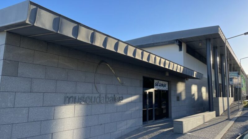 Caniçal: Madeira Whale Museum Entry Ticket and Private Tour - Museum Experience Highlights