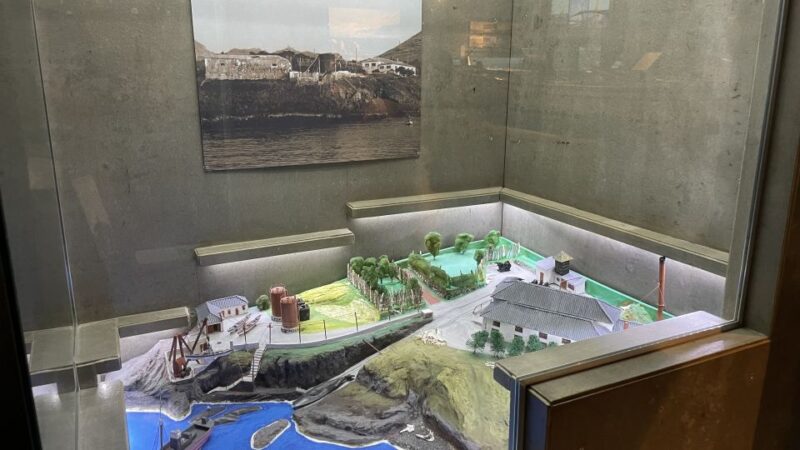 Caniçal: Madeira Whale Museum Entry Ticket and Private Tour - Important Information