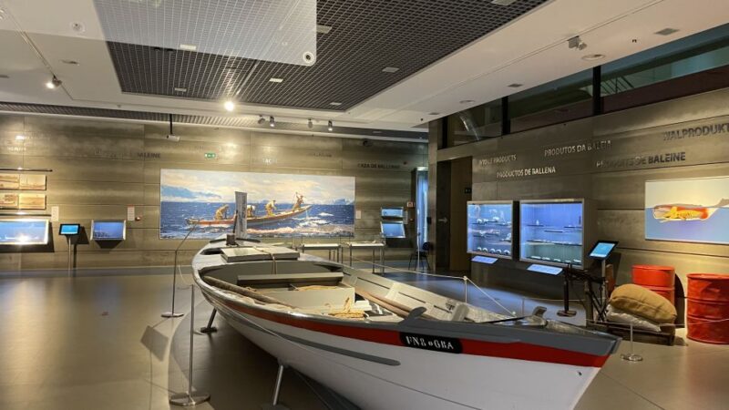 Caniçal: Madeira Whale Museum Entry Ticket and Private Tour - Key Points