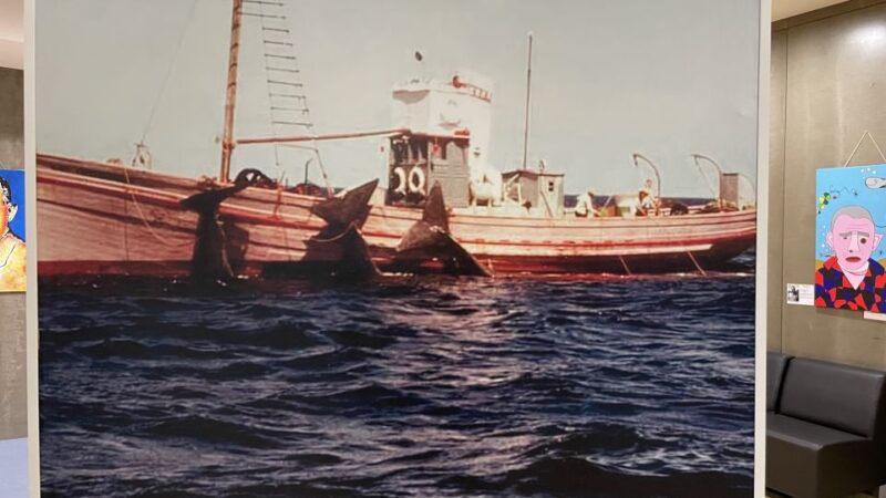 Caniçal: Madeira Whale Museum Entry Ticket and Private Tour - Museum Experience Highlights