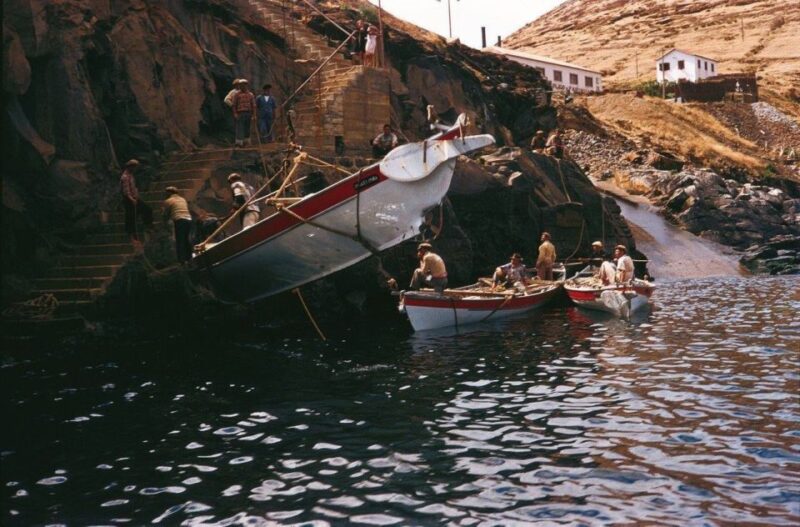 Caniçal: Madeira Whale Museum Entry Ticket and Private Tour - Important Information
