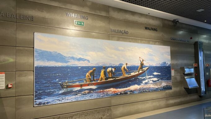 Caniçal: Madeira Whale Museum Entry Ticket and Private Tour - Booking and Cancellation