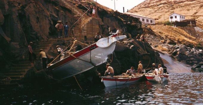 Caniçal: Madeira Whale Museum Entry Ticket and Private Tour - Accessibility and Special Needs