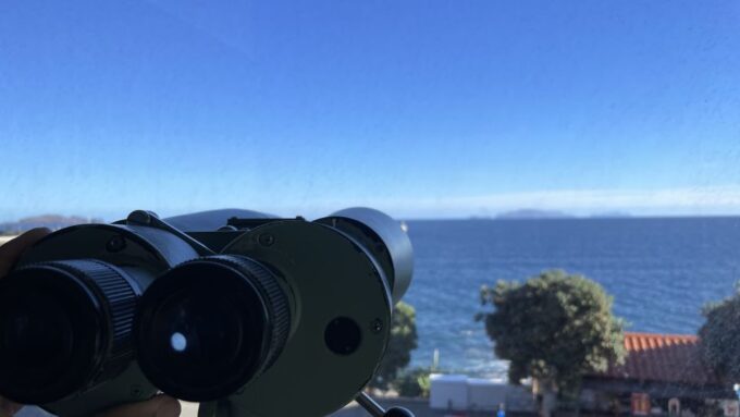 Caniçal: Madeira Whale Museum Entry Ticket and Private Tour - Frequently Asked Questions