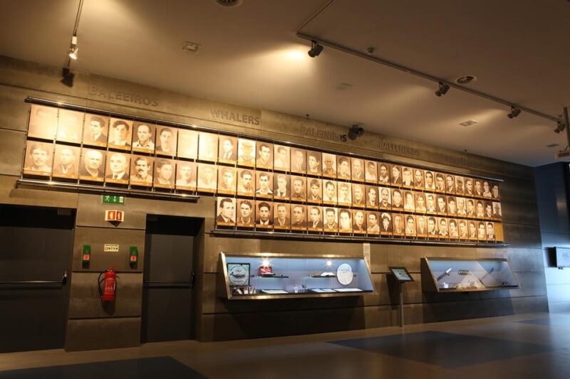 Caniçal: Madeira Whale Museum Entry Ticket - Educational and Research Focus