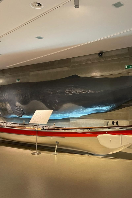Caniçal: Madeira Whale Museum Entry Ticket - Conservation Efforts