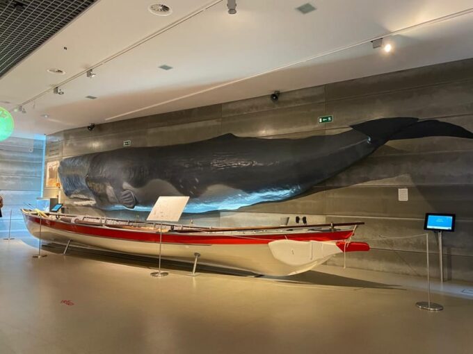 Caniçal: Madeira Whale Museum Entry Ticket - Accessibility and Multilingual Support