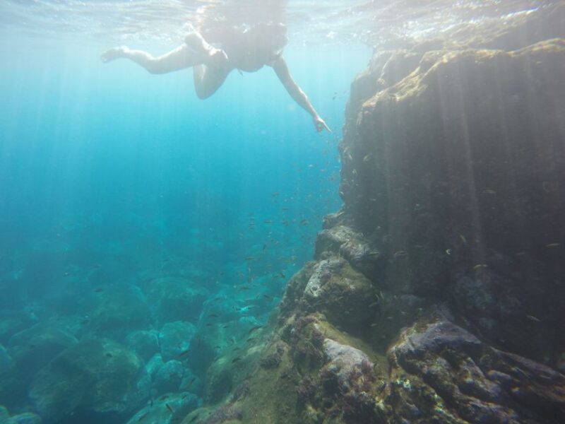 Caniço: Garajau Nature Reserve Guided Snorkeling Tour - Key Points