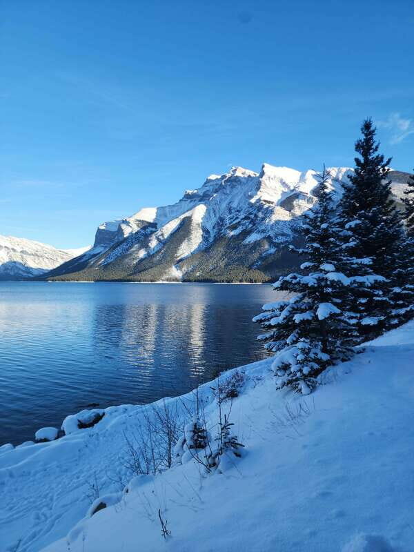 Canmore/Banff: Explore Banff & Wildlife - Authentic Experiences and Honest Impressions