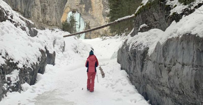 Canmore: Canyons and Cave Paintings Hiking Tour - Customer Feedback