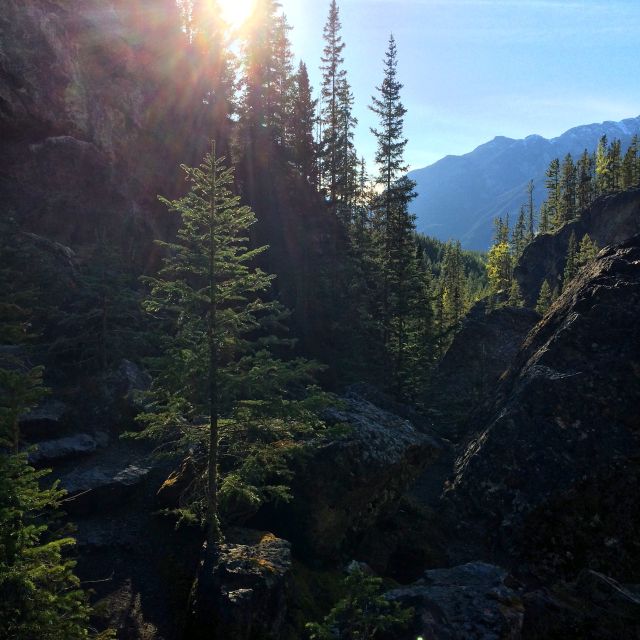 Canmore: Canyons and Cave Paintings Hiking Tour - Indigenous Pictographs