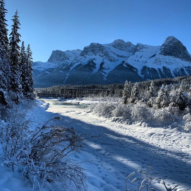 Canmore: Cowboys and Coal Miners - 1.5hr History Tour - Booking and Availability