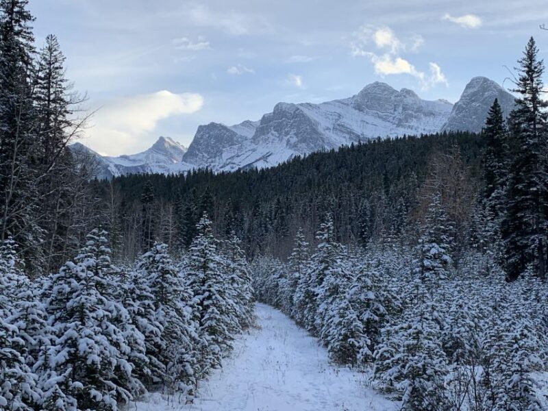 Canmore: Lost Towns and Untold Stories - Hiking Tour 3hrs - Exploring Canmores Trail Systems