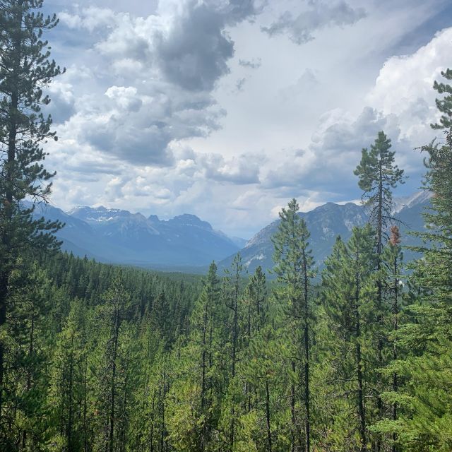 Canmore: Lost Towns and Untold Stories - Hiking Tour 3hrs - Indigenous Cultural Insights