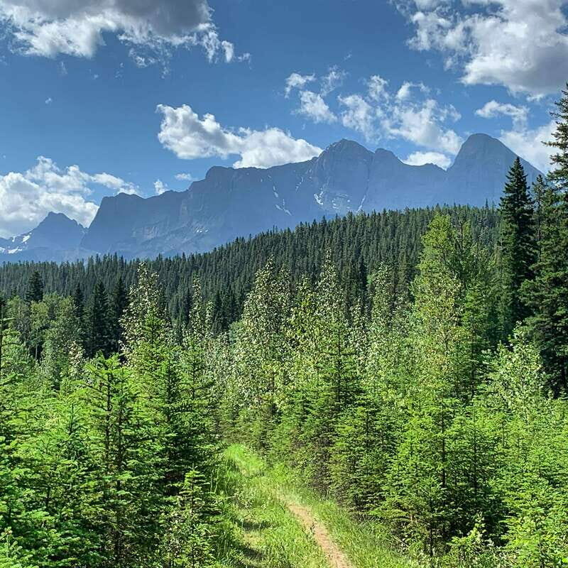 Canmore: LOST TOWNS and Untold Stories - Hiking Tour 3hrs - The Sum Up