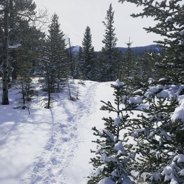 Canmore: NEW - Famous Mountains / Photo Safari Drive - 4hrs - Participant Requirements