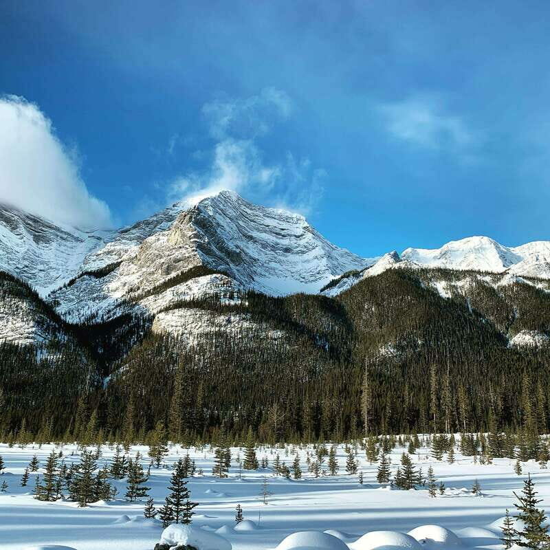 Canmore: The Winter Wonderland Hiking Tour + Transportation - Final Thoughts: Is This Tour Right for You?