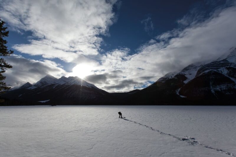 Canmore: Wilderness and Wildlife - Hiking Tours - Experience and Highlights