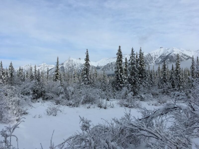 Canmore: Wilderness and Wildlife - Hiking Tours - Wildlife Diversity in Alberta