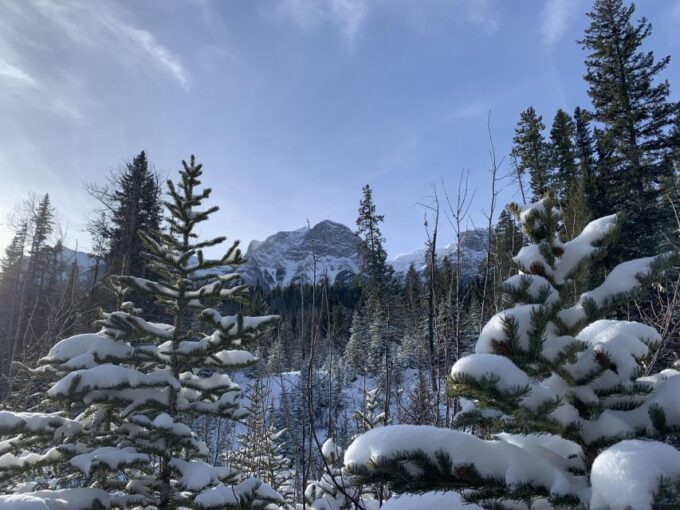 Canmore: Wilderness and Wildlife - Hiking Tours - What to Bring and Restrictions