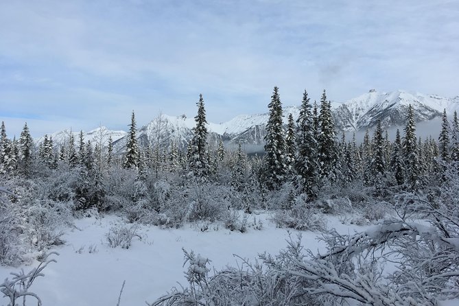 Canmore: Wilderness & Wildlife Hiking Tour - 3hrs - What to Bring