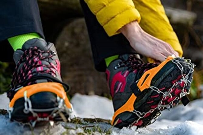 Canmore: Wilderness & Wildlife Walking Tour - 2hrs - Wildlife Spotting Opportunities