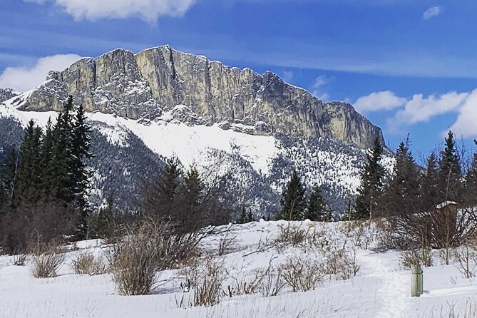 Canmore: Wilderness & Wildlife Walking Tour - 2hrs - Inclusion of Professional Certified Guide