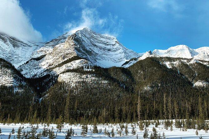 Canmore: Wilderness & Wildlife Walking Tour - 2hrs - Hiking Poles and Ice Cleats