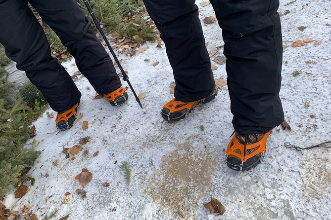 Canmore: Wilderness & Wildlife Walking Tour - 2hrs - Meeting Point and Transportation