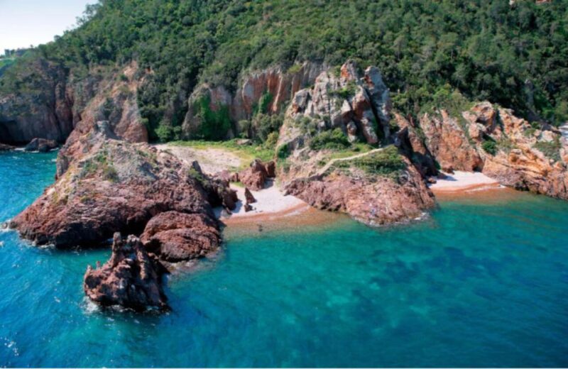 Cannes: Boat Trip Without a License to the Lerins Islands - Reservations