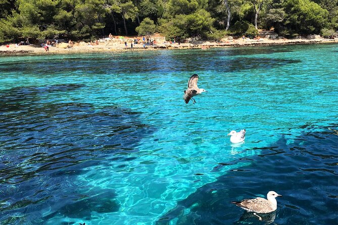 Cannes - Lerins Islands Private Boat Tour -Seabob Experience - Customer Feedback