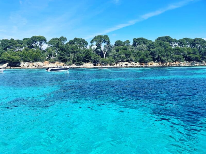 Cannes: Private Boat Tour to the Lérins Islands - Activities and Amenities