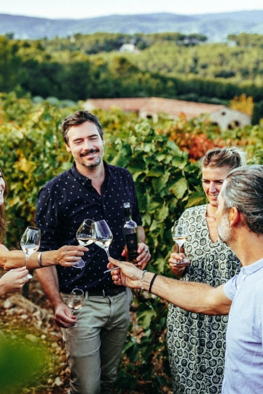 Cannes: Provence Wine Tour - Private Tour From Cannes - Tour Highlights
