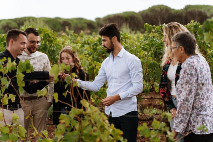 Cannes: Provence Wine Tour - Private Tour From Cannes - Amenities and Inclusions