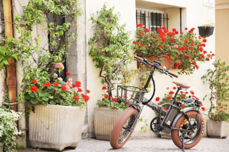 Cannes: Rent an E-Bike to Visit the City - Safety and Restrictions