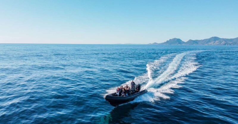 Cannes: Scenic Coves RIB Boat Tour - Itinerary and Highlights