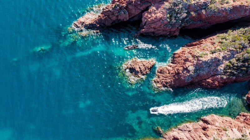 Cannes: Scenic Coves RIB Boat Tour - Customer Reviews and Ratings