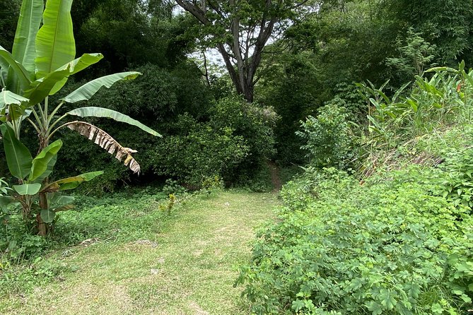 Cannibal Caves Tour, Visit a Fijian Village, Take Part in Kava Ceremony - Reviews and Ratings