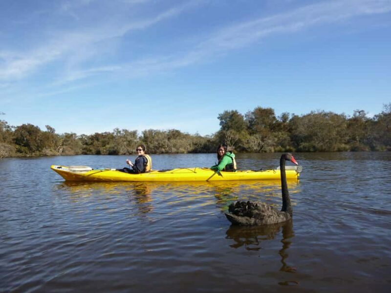 Canning River Half-Day Kayak Wildlife Tour - The Itinerary: What You Can Expect