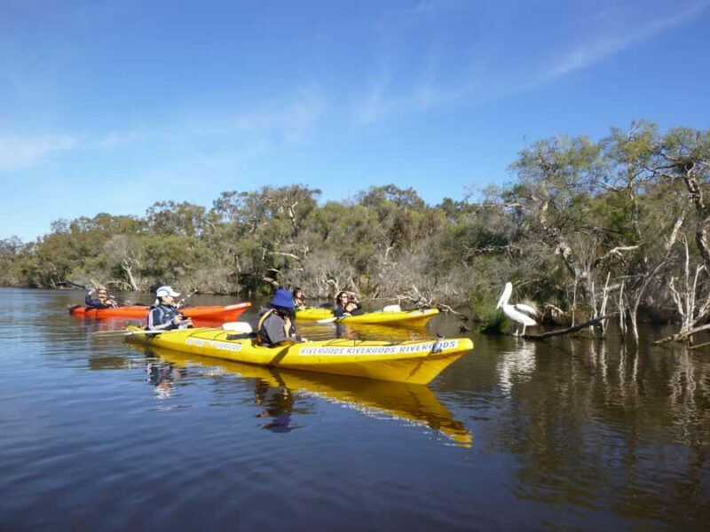 Canning River Half-Day Kayak Wildlife Tour - The Experience with Rivergods
